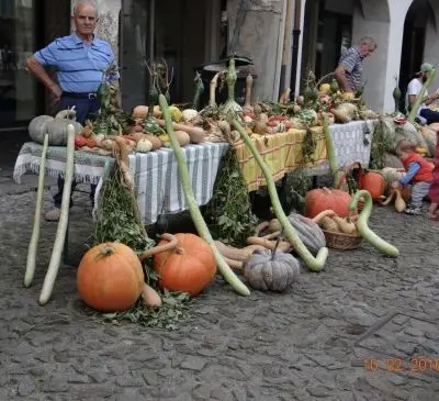 Leek Morris in Este, 2018 5